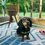 Beau Miller - @beaubeau.miller - Instagram