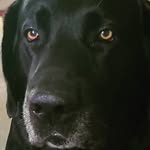Beau Morales - @roninwar85 - Instagram