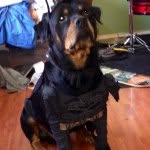 Beau Moran - @beaustuff - Instagram