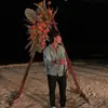 beau - @beaumorgann - TikTok