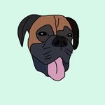 Beau Morgan - @beau_life_of_a_boxer - Instagram