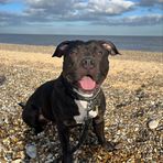 Beau Chapman-Morris - Facebook