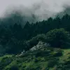 Beau Morrison - @beaumorrison53 - TikTok
