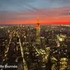 Beau Morse - @beau.morse3 - TikTok