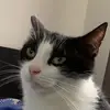 theoneandonlymrmorse - @beaumorse1 - TikTok