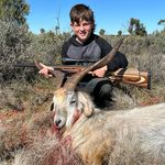 Beau morton - @beau_morton12 - Instagram