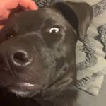 Beau moss - @beautard42 - Instagram