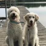 Beau & Brandie - @beau_and_brandie_mueller - Instagram