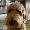 Beau Mueller - @beau.mueller - TikTok
