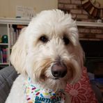 Beau Murphy - Facebook