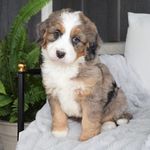 Beau Murphy - @browneyed_beau - Instagram