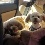 Beau Murphy and Mac Keju - @beauandmac - Instagram