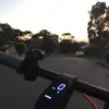 beaumurphy15 - @beaumurphy15 - TikTok