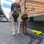 @beau_porter - Instagram