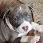 Beau Porter - @porter.beau - Instagram