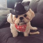 Beau Porter - Facebook