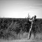 Beau Powell - Facebook