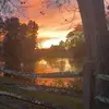 beau bieberich - @beau.bieberich - TikTok