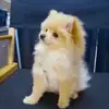 BeauRichless_YT - @beaurichless_yt - TikTok