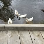 Beau Roberts - @beau.roberts.3 - Instagram