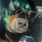 Beau Ross - @beau_janglezz - Instagram