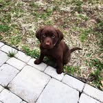 Beau Rossow - @beaurossow04 - Instagram