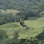 Beau Simmons - @beau.simmons.71 - Instagram