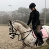 Beau  - @beau_simonse_x - TikTok