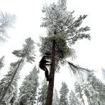 Beau Skinner - Facebook