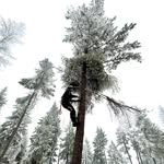 Beau Skinner - @beauskinner101 - Instagram