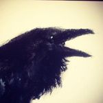 Beau Stephens - @inaforestdark - Instagram