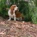 Beau Stephens - Facebook