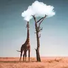 Beaustephens9 - @beaustephens9 - TikTok