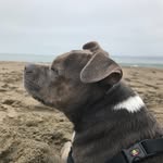 Beau - @beautown_ - Instagram