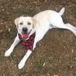 Beau Sharkadoo Townsley - @welcome_to_beautown - Instagram
