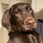 Vincent Beau - @thisisvincentbeau - Instagram