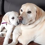 Beau and Bailey Wallace - @beau_bailey44 - Instagram
