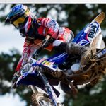 Beau - @beau_walters - Instagram