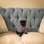 Beau Walter - @_beau.walter - Instagram