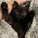 Beau Wilson - Facebook