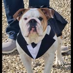 Beau Wright - @the_life_of_beau_bo - Instagram