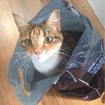 BEC WILSON - @becwillow22 - Instagram