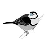 Bec Wilson - @indifferentpigeons - Instagram