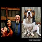 Link Ant Bec Wilson - Facebook