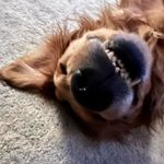 Becca Benson - @becfrederickbenson - Instagram