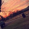 Becca benson - @gamesss...for_fun - TikTok