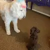 beccahesscollins - @beccahesscollins - TikTok