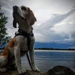Becca Hoffman - @bugsy_bed_bugger - Instagram
