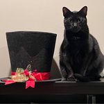 Becca Holder - @pussmeowsmom - Instagram