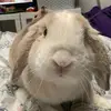 Becca Holder - @becca__holder - TikTok